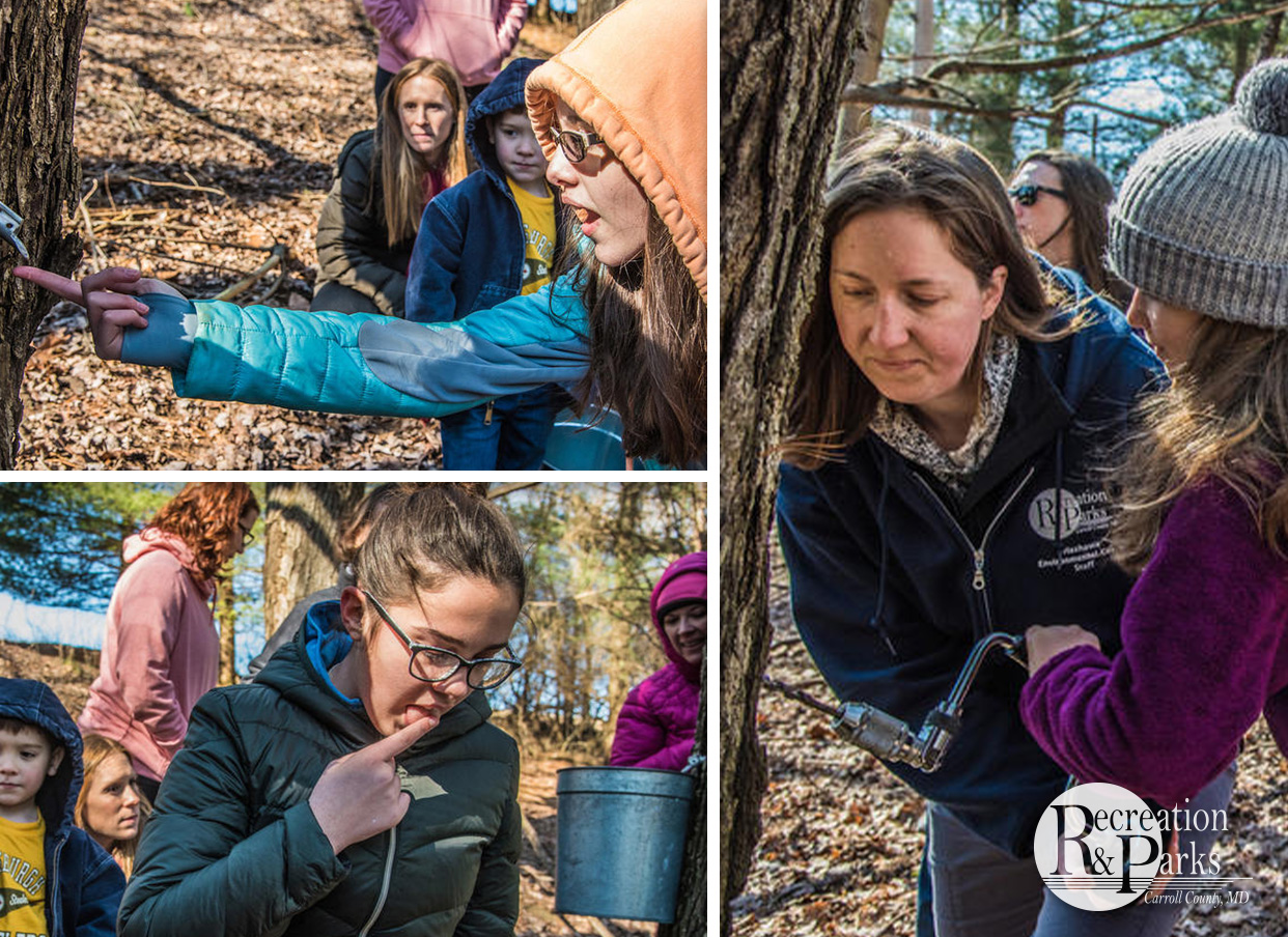Maple Sugarin' Festival 2020