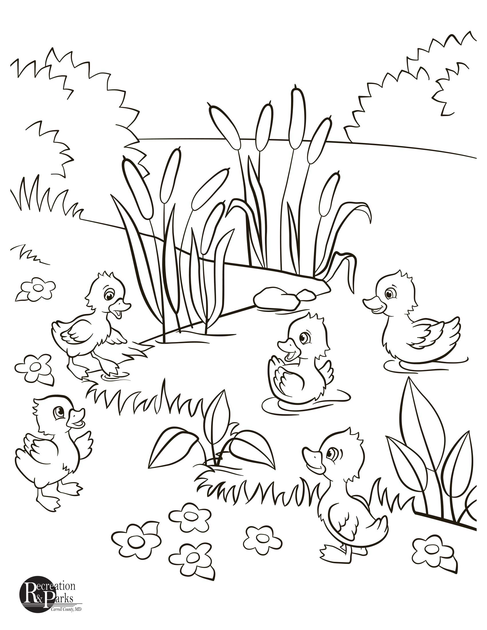 Featured image of post Senior Citizen Easy Coloring Pages For Seniors : For darker hours of the day, the app also provides an invert mode (white text on a black background) to keep.
