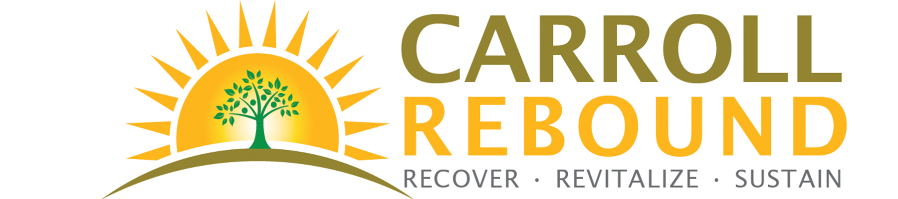 Carroll Rebound Business Grant Application Deadline is September 30th