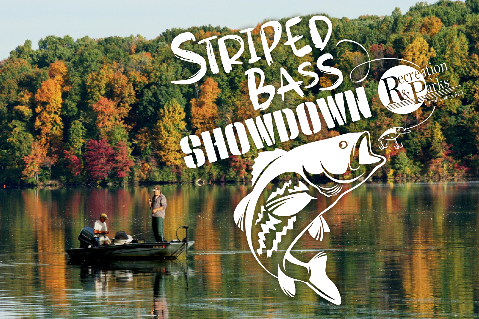 Striped Bass Showdown