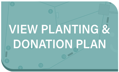 Planting and Donation Plan
