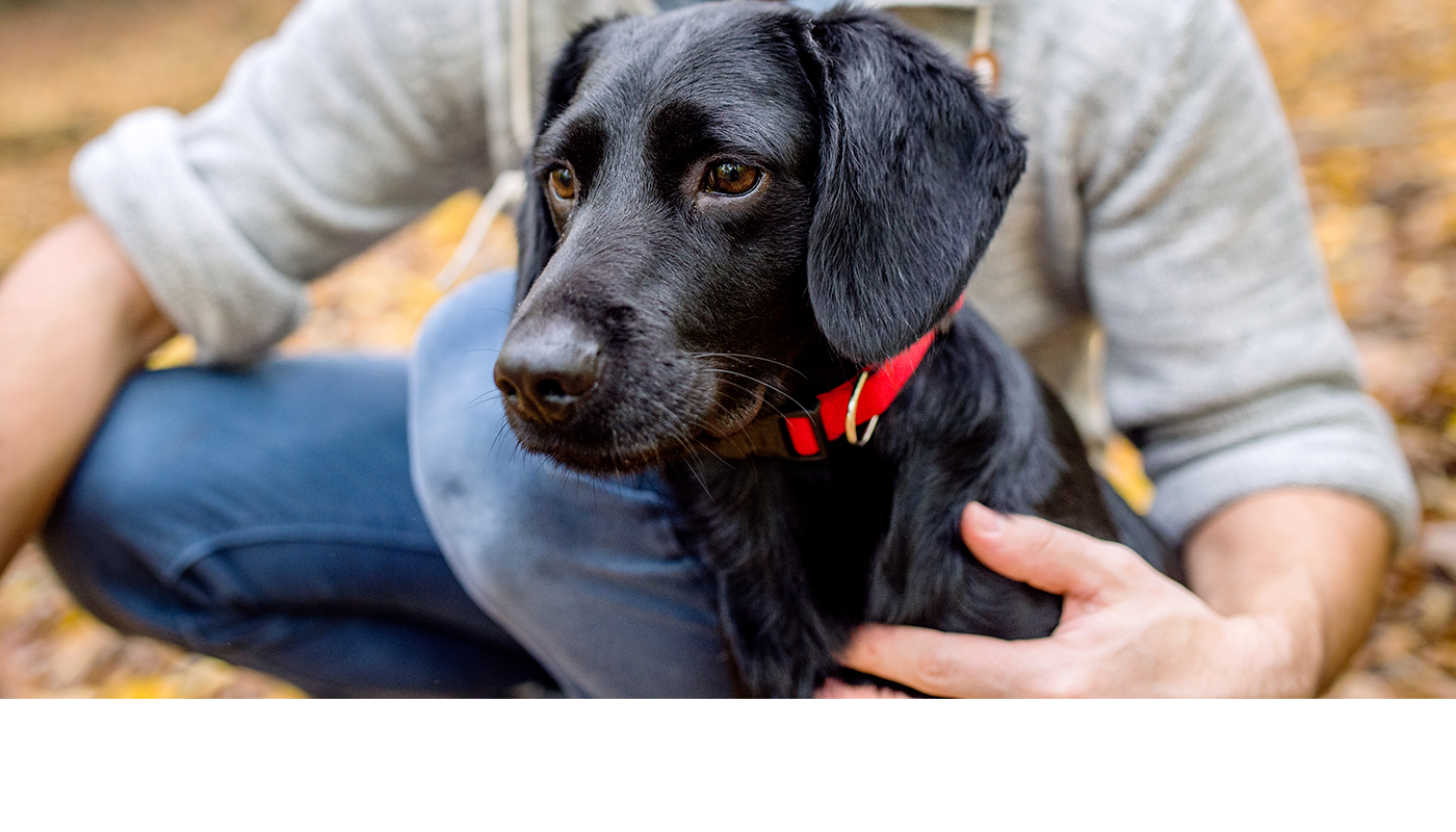 Groundbreaking of South Carroll Dog Park
