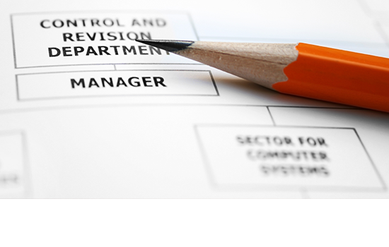 Organization Charts for Carroll County Government