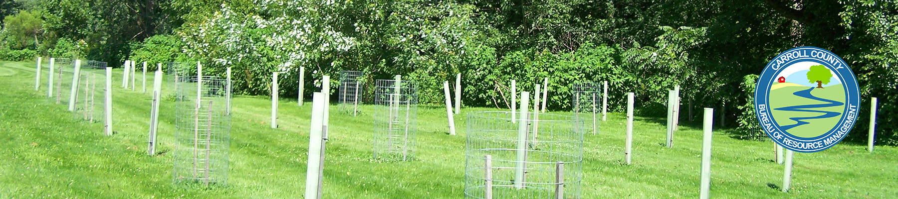 Double Pipe Creek Tree Plantings