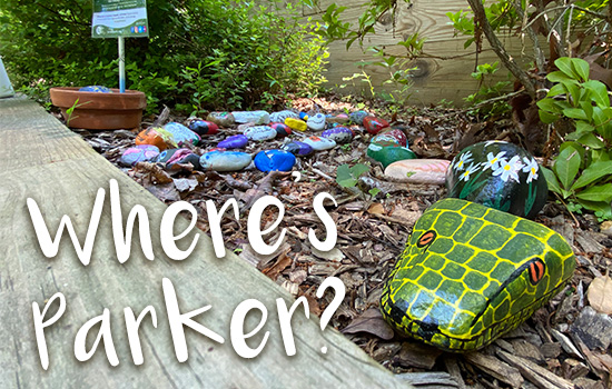 Where's Parker?