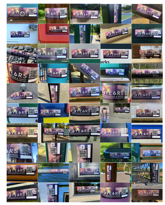 50 Years of Recreation & Parks Logo Scavenger Hunt