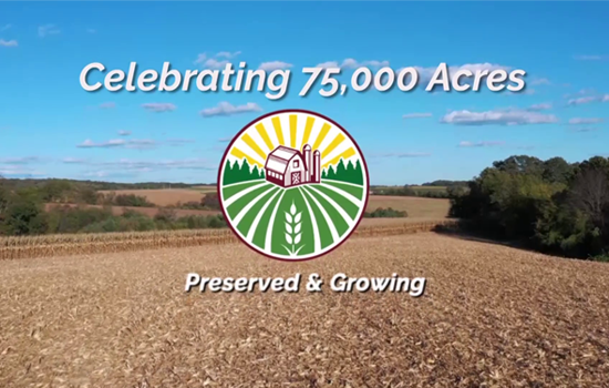 Celebrating 75,000 Acres Preserved & Growing