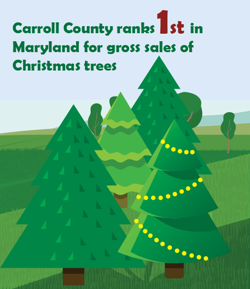 #1 in Maryland for sales in Christmas Trees