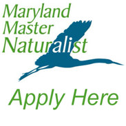 Apply here to become a Maryland Master Naturalist