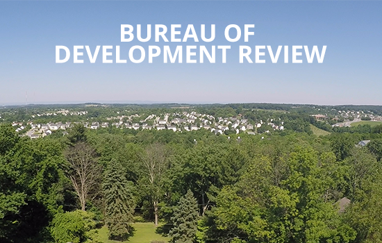 Development Review