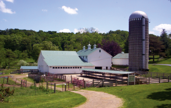 Maryland Rural Legacy Program
