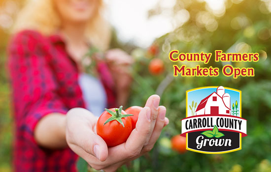 County Farmers Markets Open