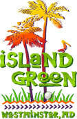 Island Green Family Fun Center