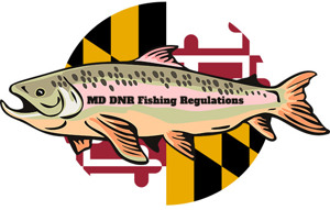 Maryland DNR Fishing Regulations