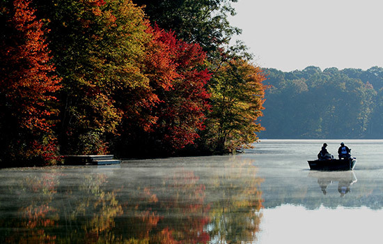 Piney Run Park